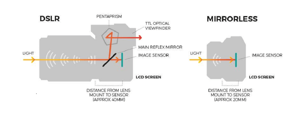 DSLR vs Mirrorless