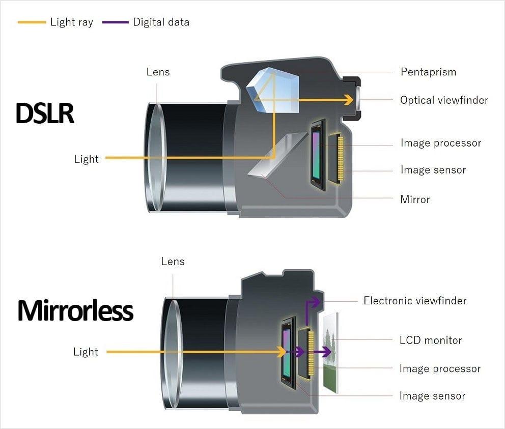 mirrorless camera vs DSLR difference