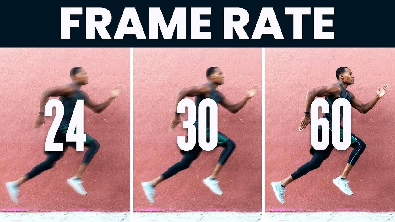Video Section